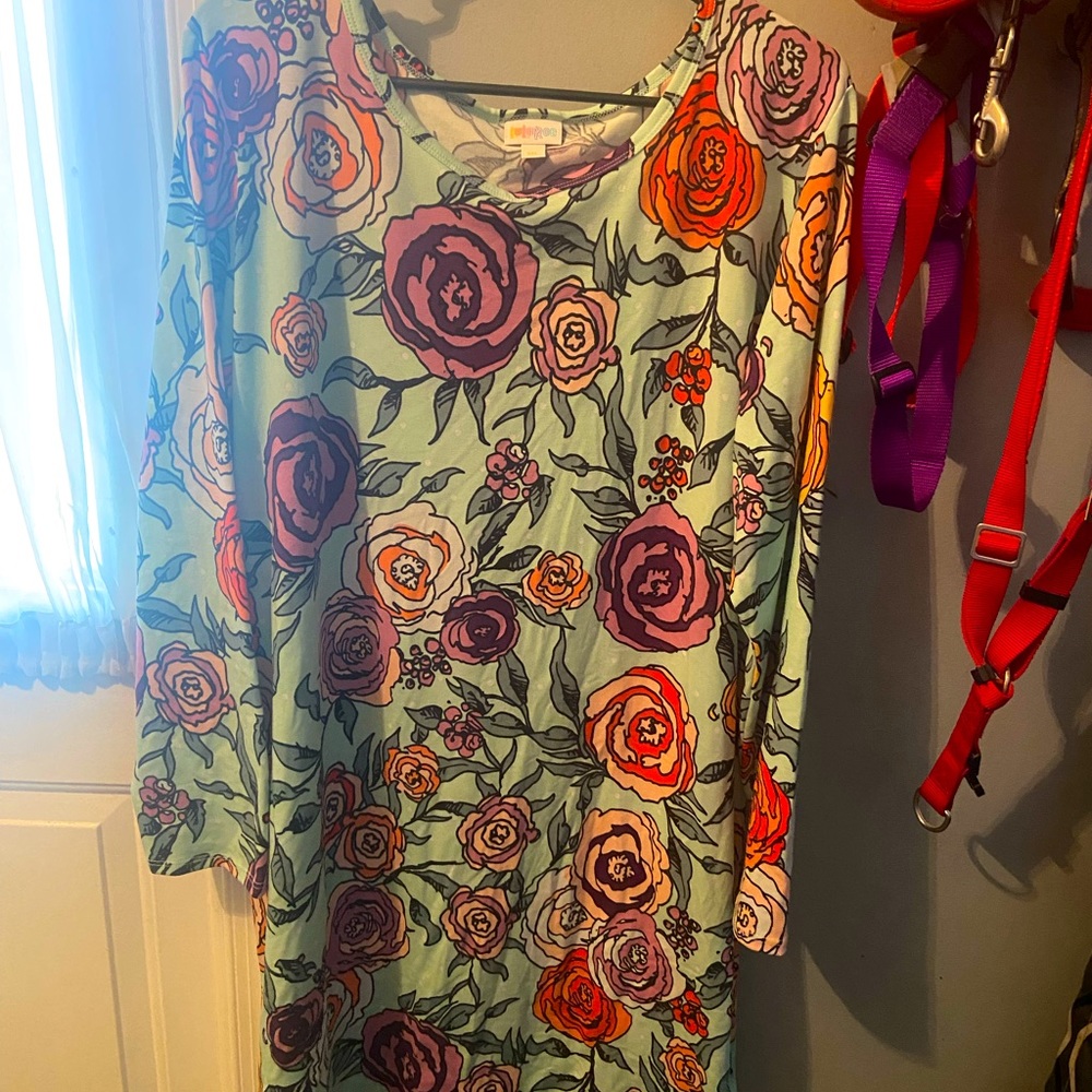 New without tags Lularoe dress floral